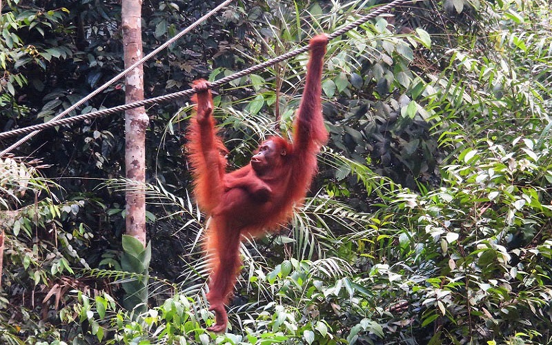 Malaysia